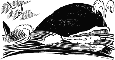 Морской сундучок