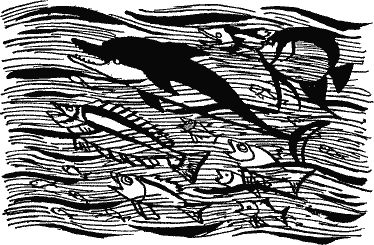 Морской сундучок