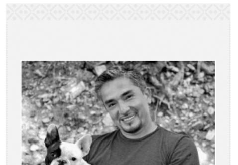 Cesar's Way - The Natural, Everyday Guide to Understanding and Correcting Common Dog Problems