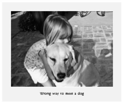 Cesar's Way - The Natural, Everyday Guide to Understanding and Correcting Common Dog Problems