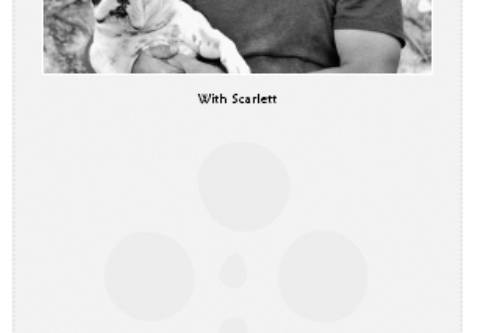Cesar's Way - The Natural, Everyday Guide to Understanding and Correcting Common Dog Problems