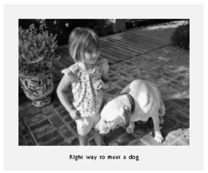 Cesar's Way - The Natural, Everyday Guide to Understanding and Correcting Common Dog Problems