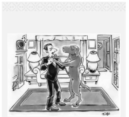 Cesar's Way - The Natural, Everyday Guide to Understanding and Correcting Common Dog Problems