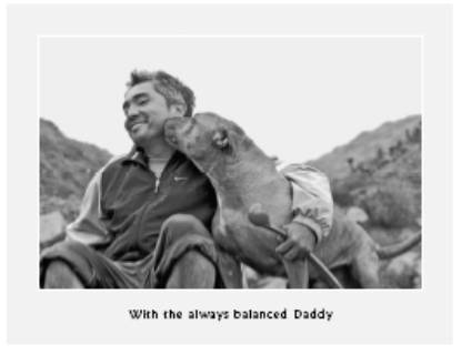 Cesar's Way - The Natural, Everyday Guide to Understanding and Correcting Common Dog Problems
