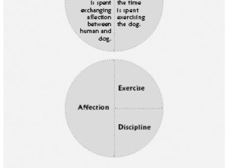 Cesar's Way - The Natural, Everyday Guide to Understanding and Correcting Common Dog Problems