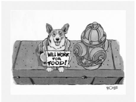 Cesar's Way - The Natural, Everyday Guide to Understanding and Correcting Common Dog Problems
