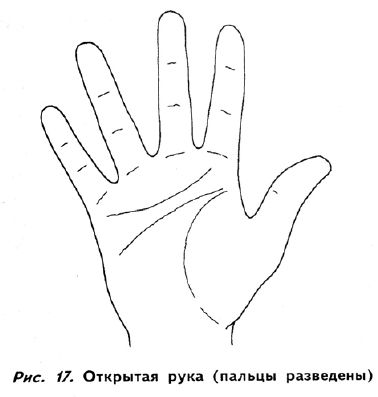 Полное руководство по хиромантии: Секреты чтения ладони - 16.jpg.