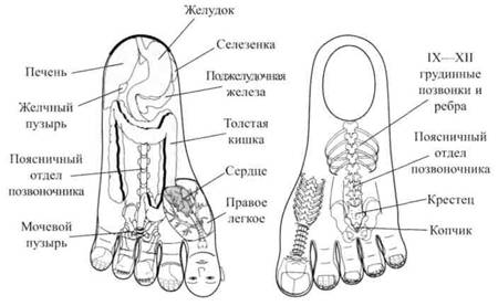Су Джок семянотерапия
