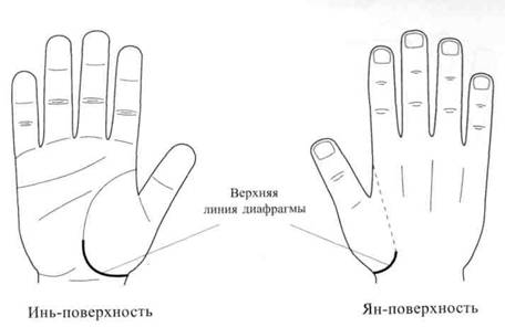 Су Джок семянотерапия