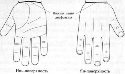 Су Джок семянотерапия