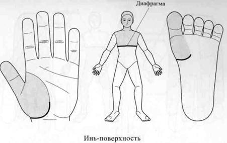 Су Джок семянотерапия