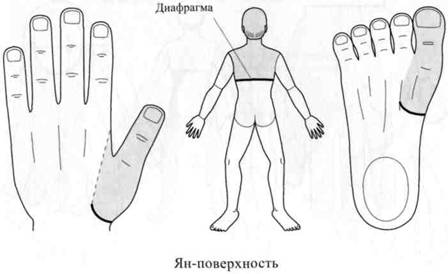 Су Джок семянотерапия