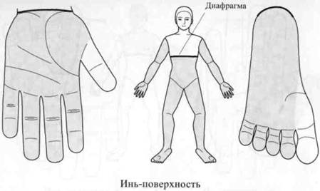 Су Джок семянотерапия