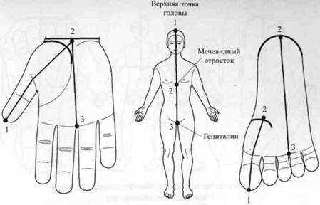 Су Джок семянотерапия