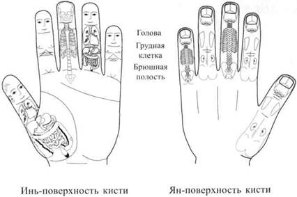 Су Джок семянотерапия