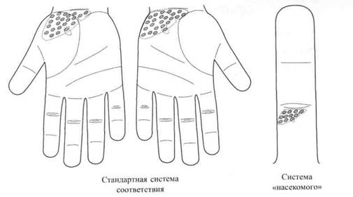 Су Джок семянотерапия