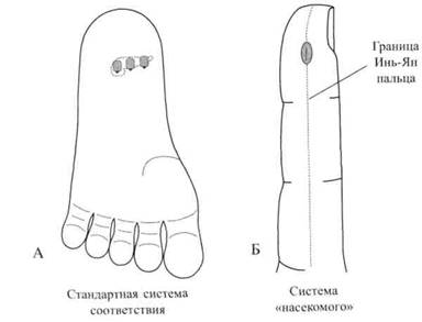 Су Джок семянотерапия