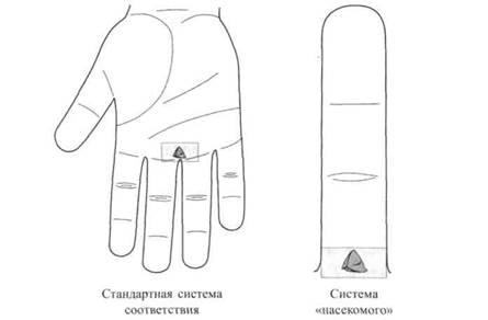 Су Джок семянотерапия