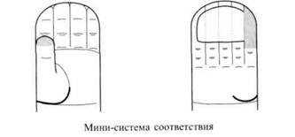 Су Джок семянотерапия