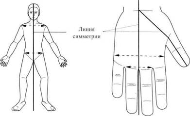 Су Джок семянотерапия