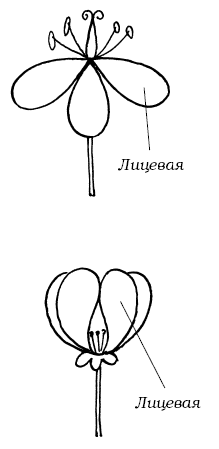    , , :  