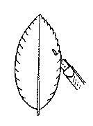    , , :  