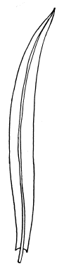   , , :  