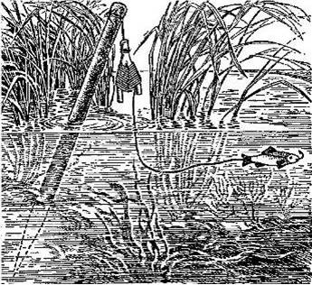 Ловля жерлицей (из книги Л. П.