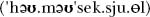 A Concise Chinese English Dictionary for Lovers