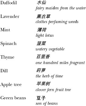 A Concise Chinese English Dictionary for Lovers