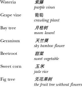 A Concise Chinese English Dictionary for Lovers