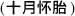 A Concise Chinese English Dictionary for Lovers