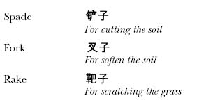 A Concise Chinese English Dictionary for Lovers