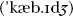 A Concise Chinese English Dictionary for Lovers