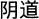 A Concise Chinese English Dictionary for Lovers