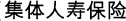 A Concise Chinese English Dictionary for Lovers