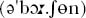 A Concise Chinese English Dictionary for Lovers