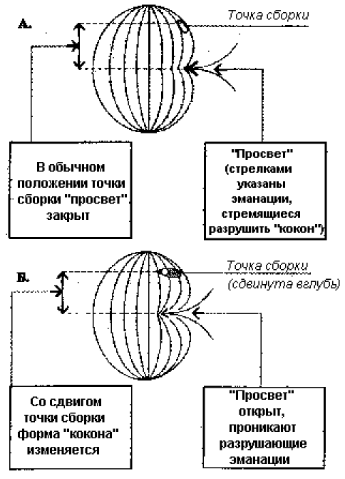 Тайна Карлоса Кастанеды. Анализ магического знания дона Хуана: теория и
