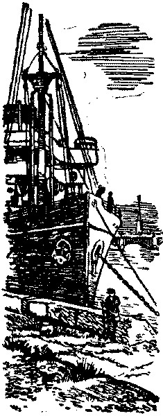 Тарантул