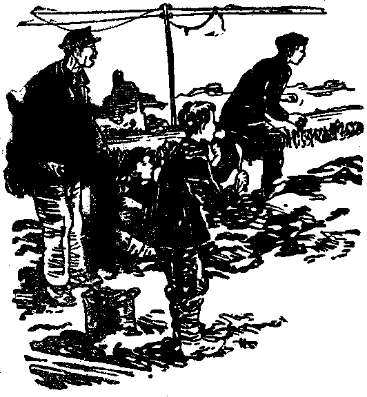 Тарантул