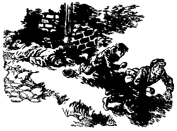 Тарантул