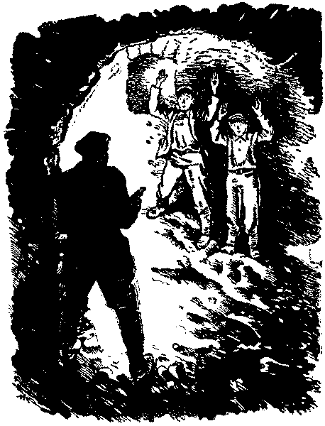 Тарантул