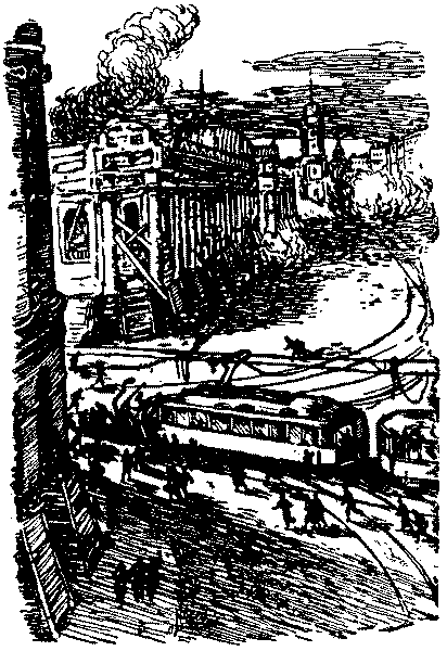 Тарантул