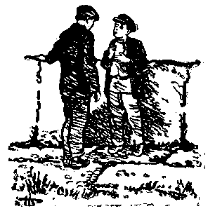 Тарантул