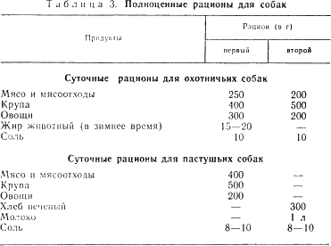 наши четвероногие друзья