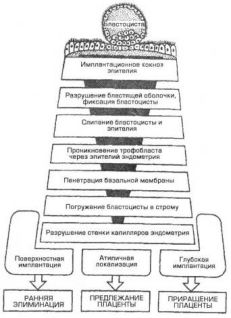 Дгэа-с повышен у женщин лечение