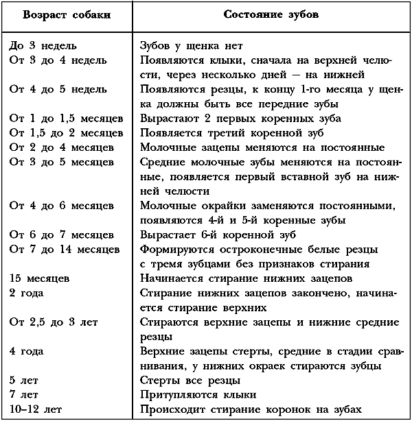 Немецкая овчарка