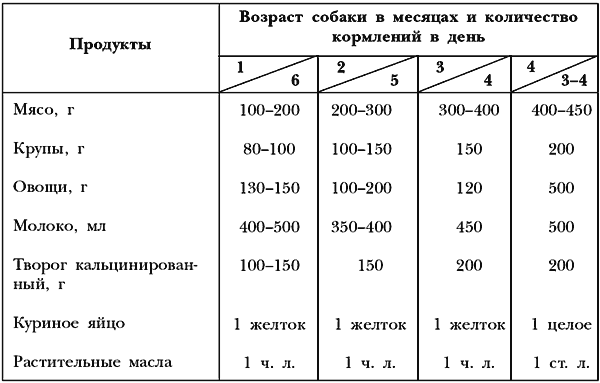 Немецкая овчарка