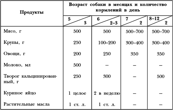 Немецкая овчарка