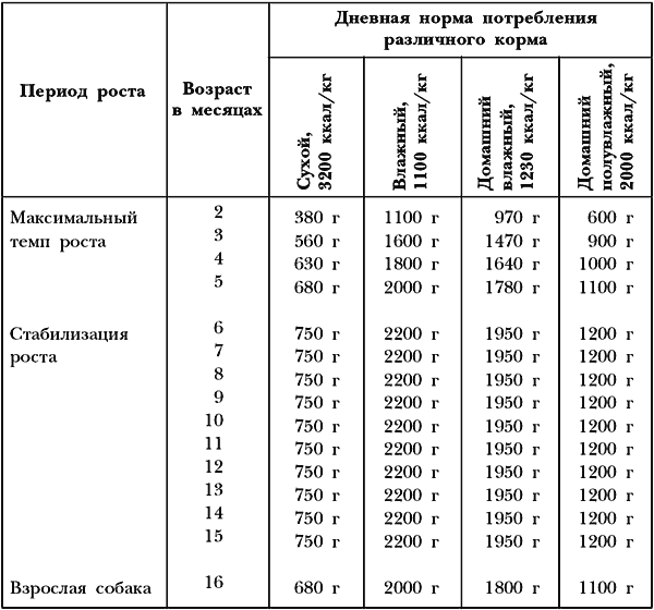 Немецкая овчарка
